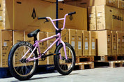 Tribal Trap 20" BMX - Pink