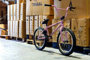 Tribal Trap BMX Bike - Pink -